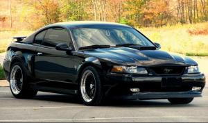 Mustang