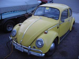 The Electric Bug