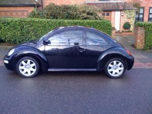 Beetle before