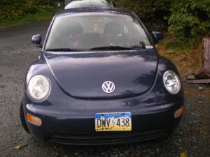 Before Picture