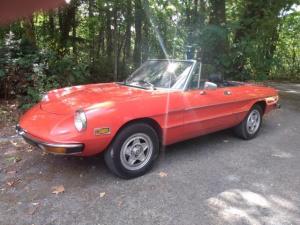 1980 Alfa Romeo Spider
