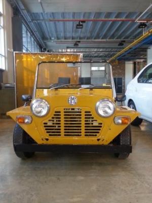 ELMO (ELectric MOke!)