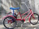 granny trike