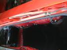 Trunk