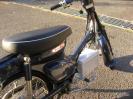 electric cub
