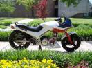 TCC EV Bike w/Pb 